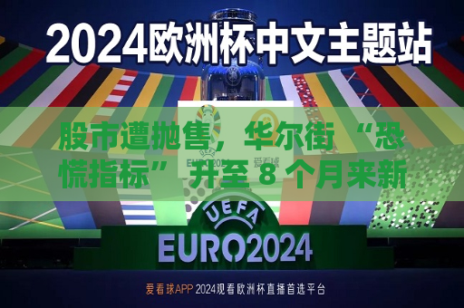 股市遭抛售，华尔街 “恐慌指标” 升至 8 个月来新高  第1张