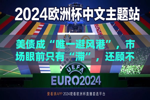 美债成“唯一避风港”，市场眼前只有“滞”，还顾不上“胀”  第1张