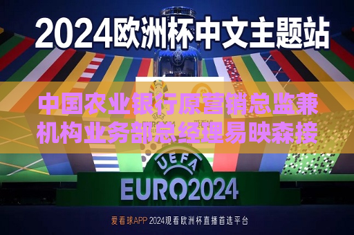 中国农业银行原营销总监兼机构业务部总经理易映森接受审查调查