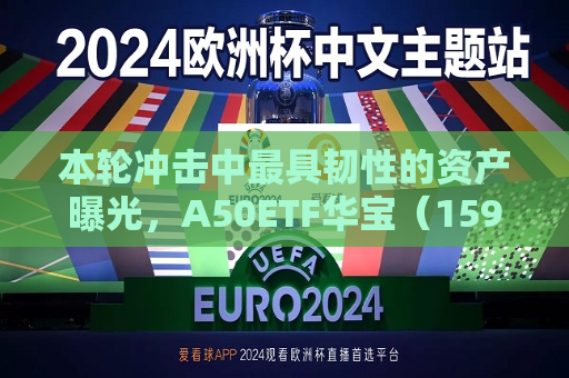 本轮冲击中更具韧性的资产曝光，A50ETF华宝（159596）连续3天获资金净申购  第1张