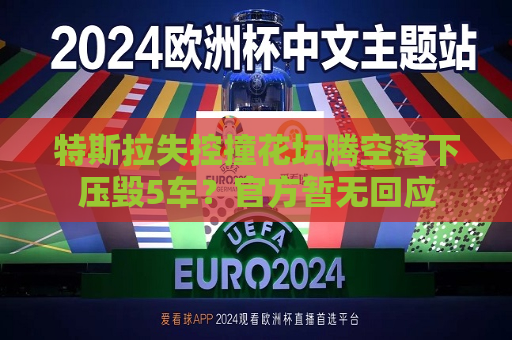 特斯拉失控撞花坛腾空落下压毁5车？官方暂无回应  第1张