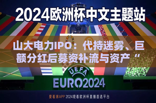 山大电力IPO：代持迷雾、巨额分红后募资补流与资产“堰塞湖”  第1张