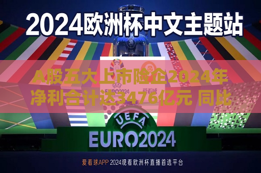 A股五大上市险企2024年净利合计达3476亿元 同比增长近八成  第1张