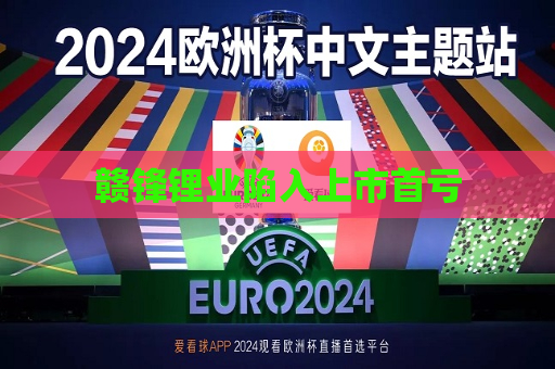 赣锋锂业陷入上市首亏  第1张