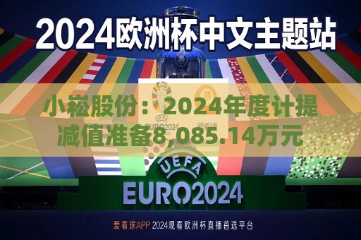 小崧股份：2024年度计提减值准备8,085.14万元  第1张