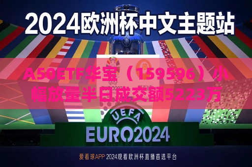 A50ETF华宝（159596）小幅放量半日成交额5223万元，换手率位居同类之一  第1张