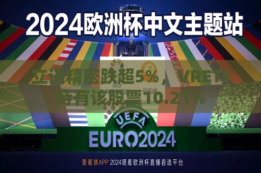 立讯精密跌超5%，VRETF持有该股票10.21%  第1张