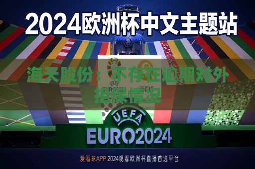海天股份：不存在逾期对外担保情况  第1张