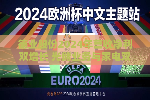 德业股份2024年营收净利双增长 光储业务与家电双轮驱动发力  第1张