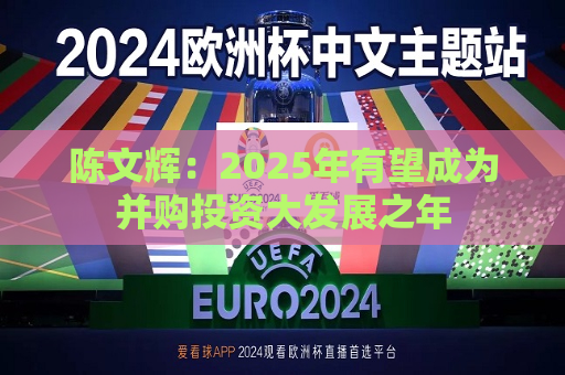 陈文辉：2025年有望成为并购投资大发展之年