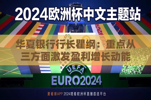 华夏银行行长瞿纲：重点从三方面激发盈利增长动能  第1张