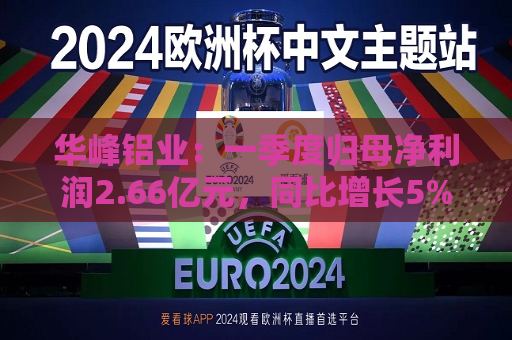 华峰铝业：一季度归母净利润2.66亿元，同比增长5%  第1张