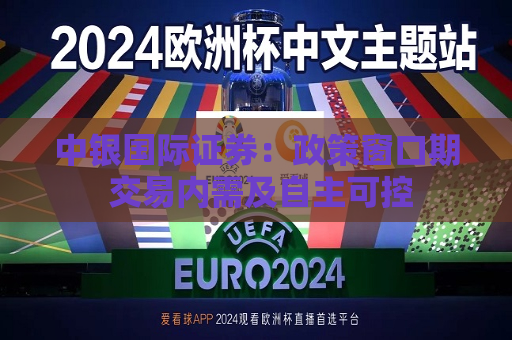 中银国际证券：政策窗口期 交易内需及自主可控  第1张