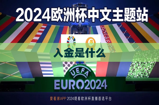 入金是什么