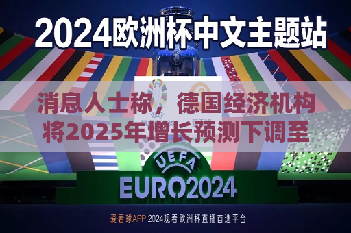 消息人士称，德国经济机构将2025年增长预测下调至0.1%  第1张