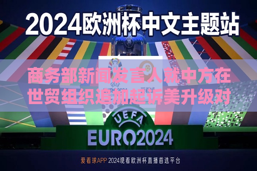商务部新闻发言人就中方在世贸组织追加起诉美升级对华关税措施答记者问  第1张