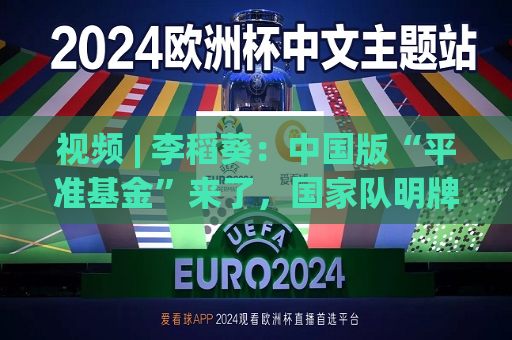 视频 | 李稻葵：中国版“平准基金”来了，国家队明牌 *** 背后有啥深意？  第1张