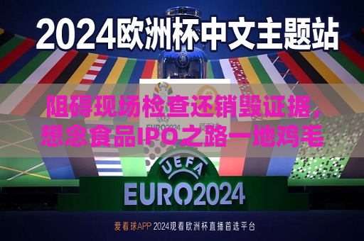 阻碍现场检查还销毁证据，想念食品IPO之路一地鸡毛  第1张
