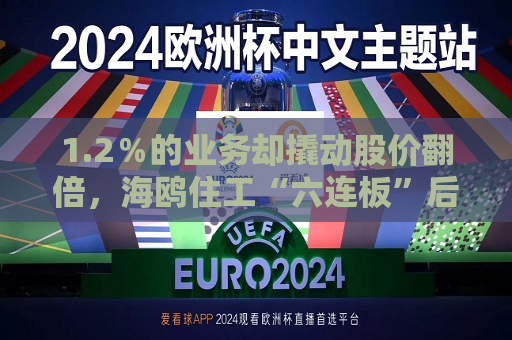 1.2％的业务却撬动股价翻倍，海鸥住工“六连板”后跌停，在越建厂能否扛住关税冲击？  第1张