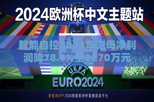 智能自控2024年归母净利润降78.4%至2270万元