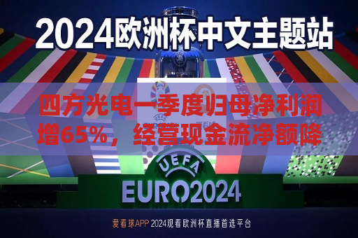 四方光电一季度归母净利润增65%，经营现金流净额降至-2778万元
