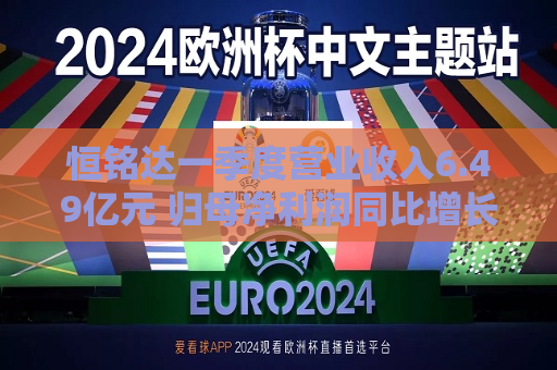恒铭达一季度营业收入6.49亿元 归母净利润同比增长53.7%  第1张