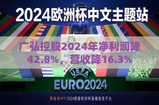 广弘控股2024年净利润降42.8%，营收降16.3%  第1张