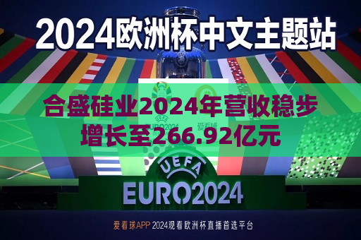 合盛硅业2024年营收稳步增长至266.92亿元  第1张