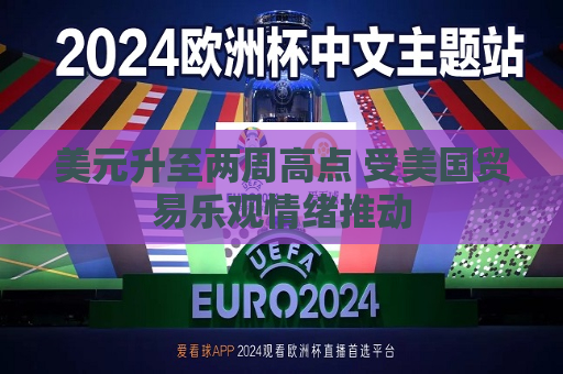 美元升至两周高点 受美国贸易乐观情绪推动