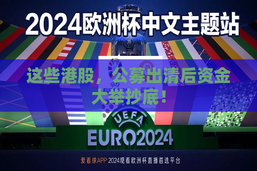 这些港股，公募出清后资金大举抄底！