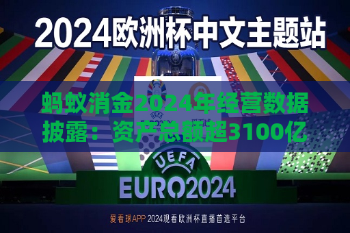 蚂蚁消金2024年经营数据披露：资产总额超3100亿，实现净利润30.51亿元