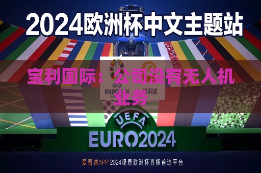 宝利国际：公司没有无人机业务