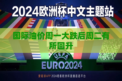 国际油价周一大跌后周二有所回升  第1张