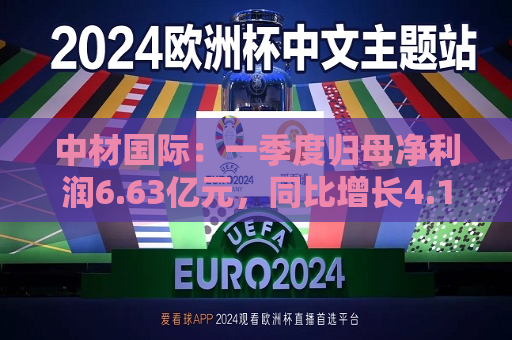 中材国际：一季度归母净利润6.63亿元，同比增长4.19%  第1张