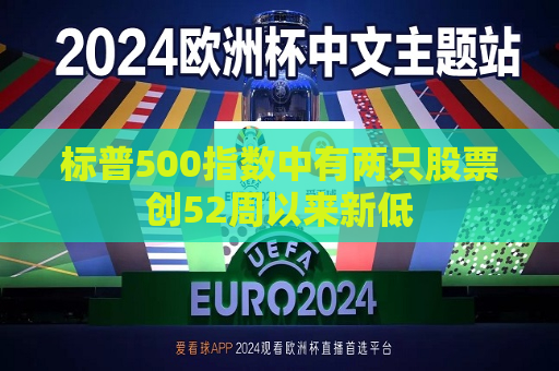 标普500指数中有两只股票创52周以来新低