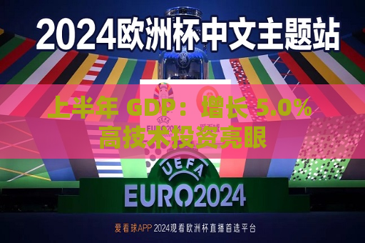 上半年 GDP：增长 5.0% 高技术投资亮眼  第1张