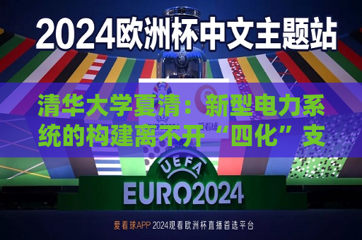 清华大学夏清：新型电力系统的构建离不开“四化”支撑