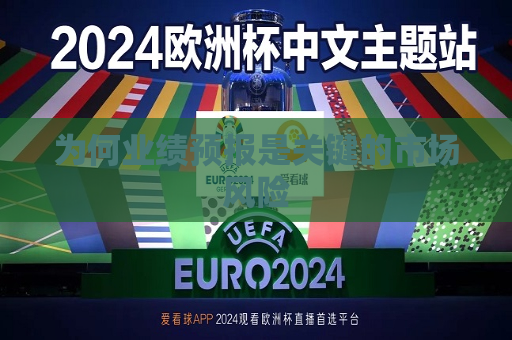 为何业绩预报是关键的市场风险