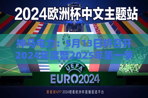 神马电力：5月13日将召开2024年度暨2025年之一季度业绩说明会
