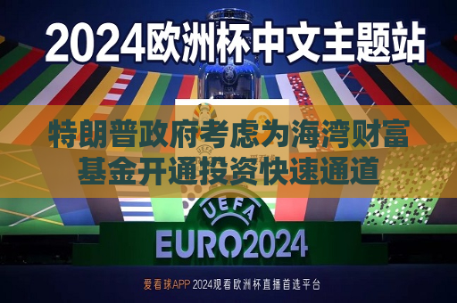 特朗普 *** 考虑为海湾财富基金开通投资快速通道