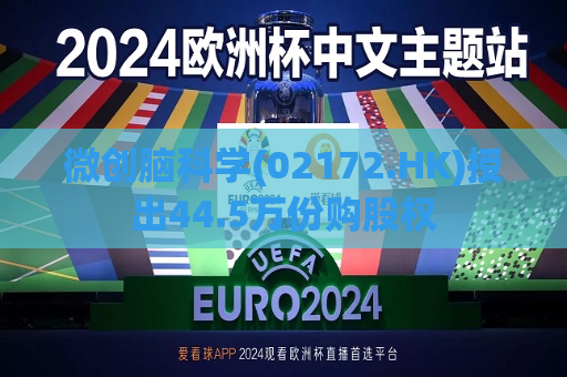 微创脑科学(02172.HK)授出44.5万份购股权