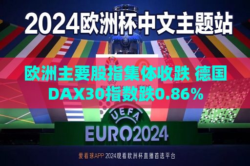 欧洲主要股指集体收跌 德国DAX30指数跌0.86%  第1张