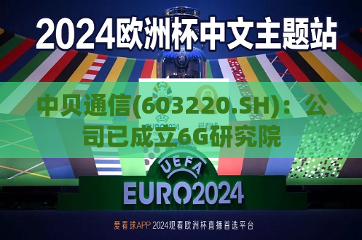 中贝通信(603220.SH)：公司已成立6G研究院