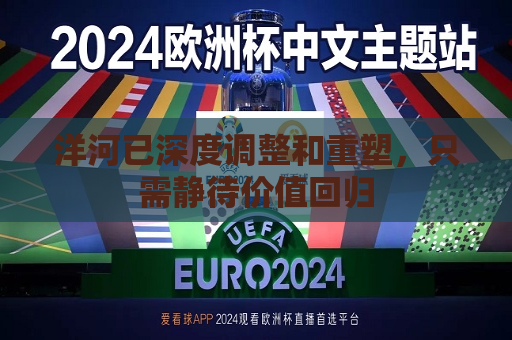 洋河已深度调整和重塑，只需静待价值回归  第1张