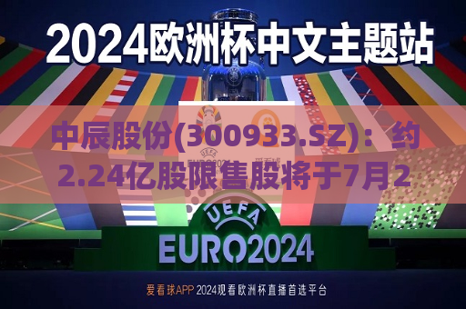 中辰股份(300933.SZ)：约2.24亿股限售股将于7月22日起上市流通