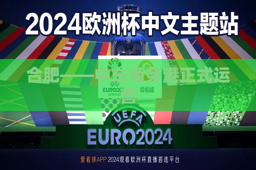 合肥――中东商务港正式运营