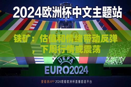 铁矿：估值和情绪带动反弹，下周行情或震荡