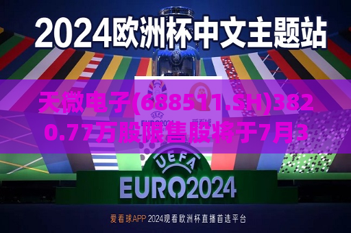 天微电子(688511.SH)3820.77万股限售股将于7月31日上市流通  第1张
