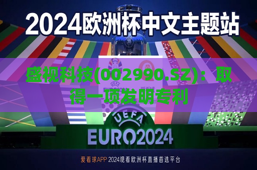 盛视科技(002990.SZ)：取得一项发明专利  第1张