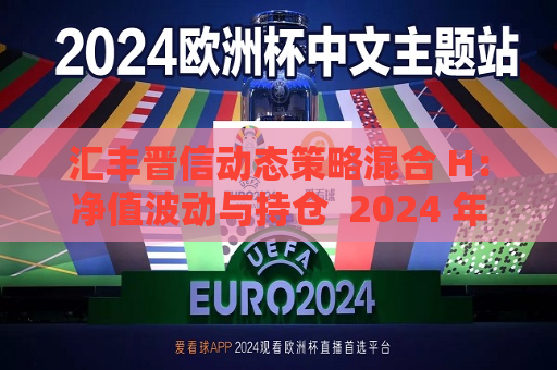 汇丰晋信动态策略混合 H：净值波动与持仓  2024 年 7 月